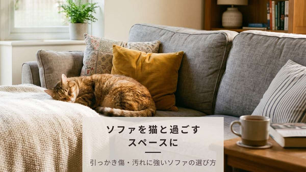 猫がいる家でもソファは置ける！爪とぎ・汚れ対策とおすすめの選び方